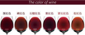 婚宴红酒推荐:婚礼用酒如何兼顾口感、数量与预算